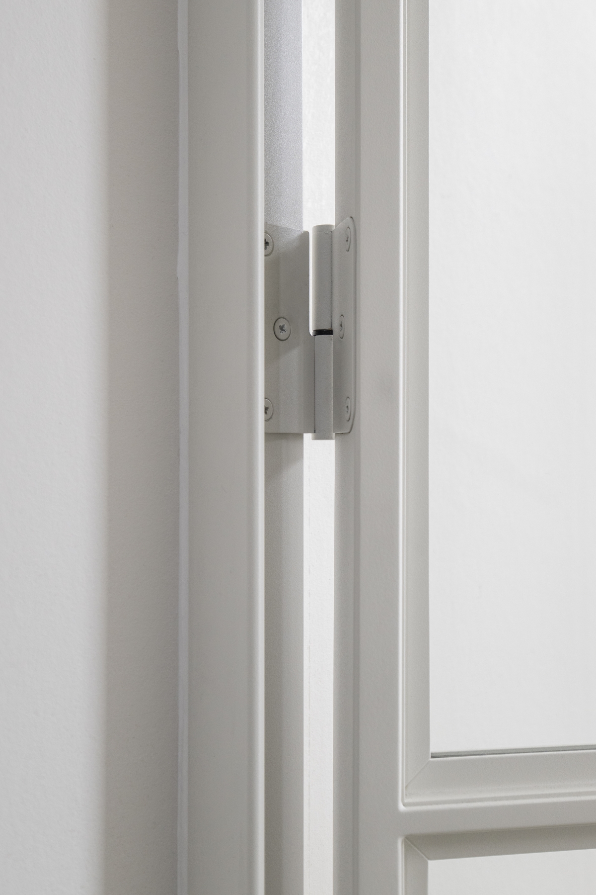 Scharnierdeur-Ral 9002-Van Loon-4